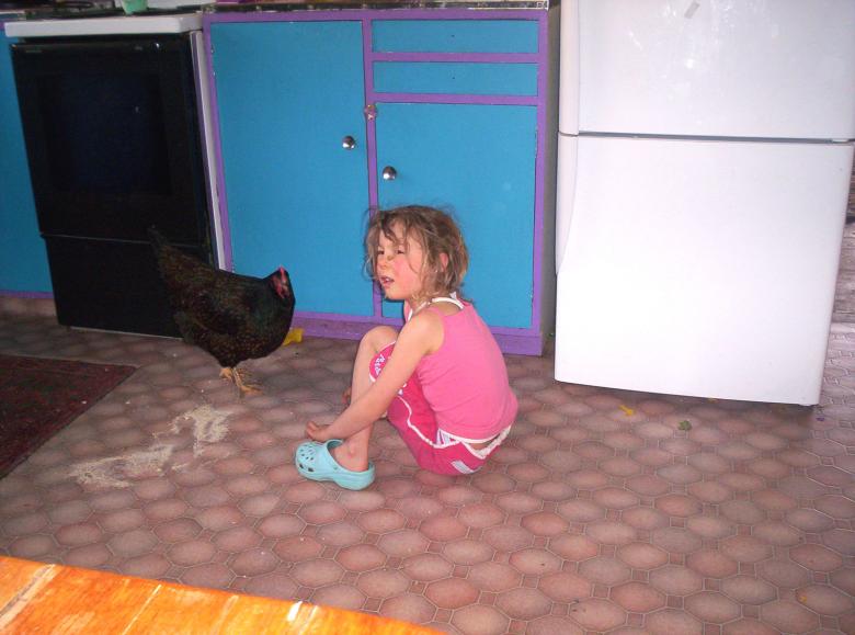 Free stock image of Girl and Chicken created by Peter Alexander Robb