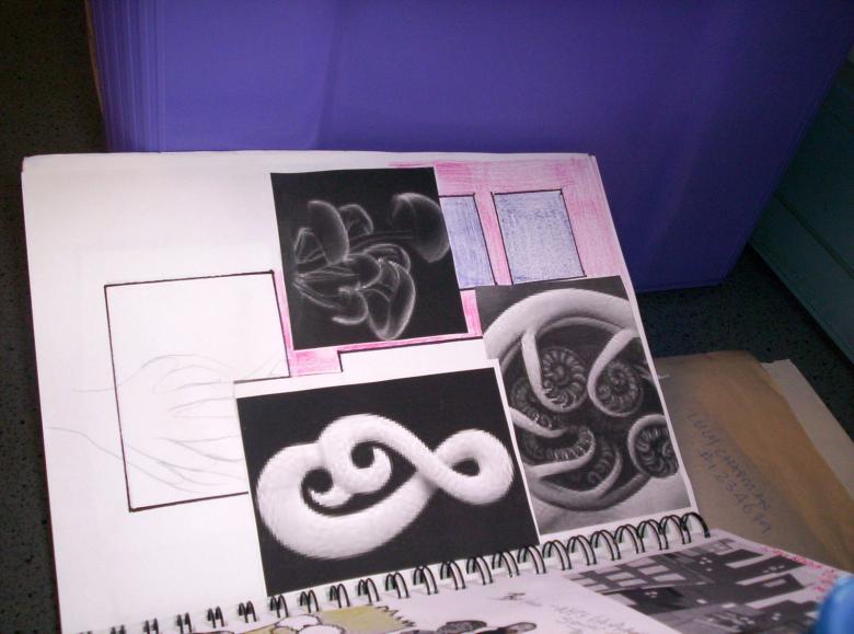 Free stock image of Work Book Koru created by Peter Alexander Robb
