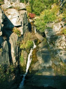 Free Stock Photo of Waterfall in Ponderosa Pines