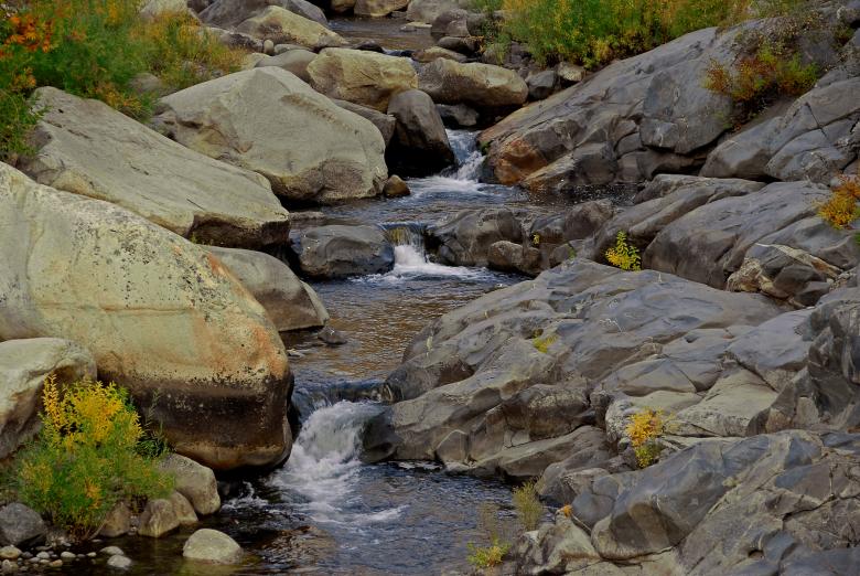 Free stock image of Flowing in Elegance created by j. l. johnson
