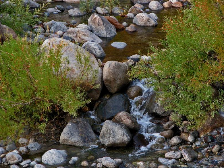 Free stock image of Peaceful River created by bonnie l. mahaffey