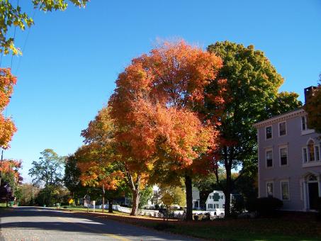 Old Main Street - Free Stock Photo
