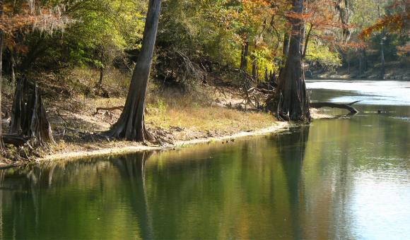 River Going Down To Gulf - Free Stock Photo