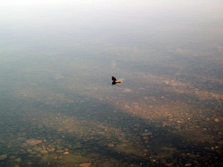 Free stock image of Alone created by vyacheslavpopov