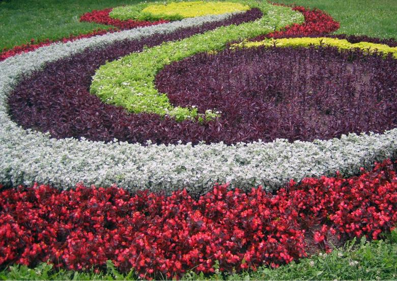 Free stock image of A flower garden created by vyacheslavpopov