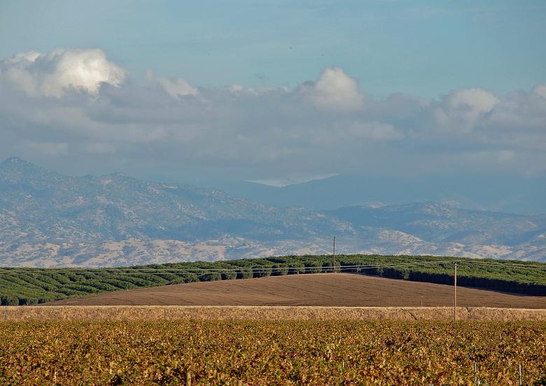 Free stock image of Vineyards &amp; Orange Groves created by j. l. johnson