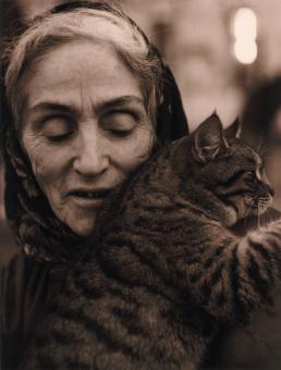 Free Stock Photo of Tenderness