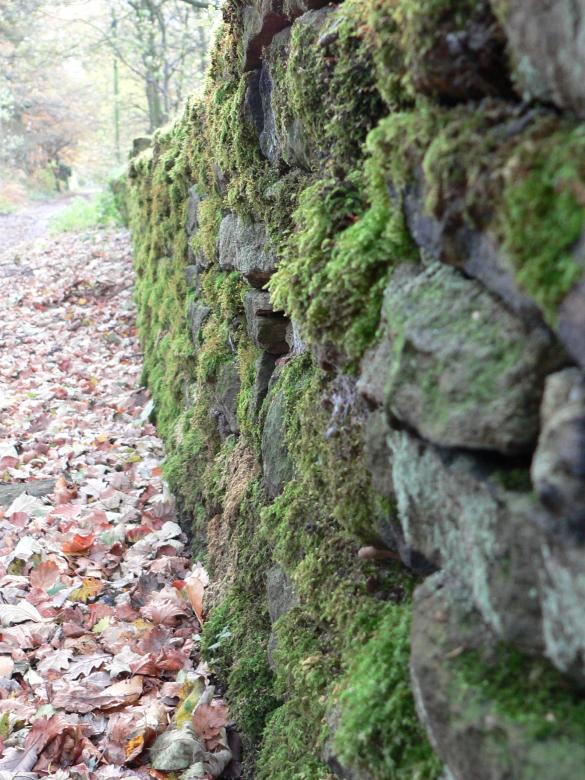 Free stock image of Walled created by neil heslop