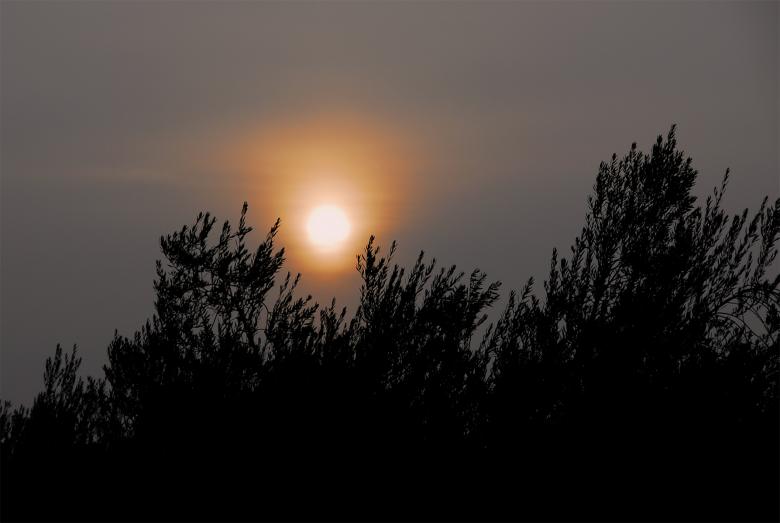 Free stock image of Sun Peering Through the Fog created by j. l. johnson