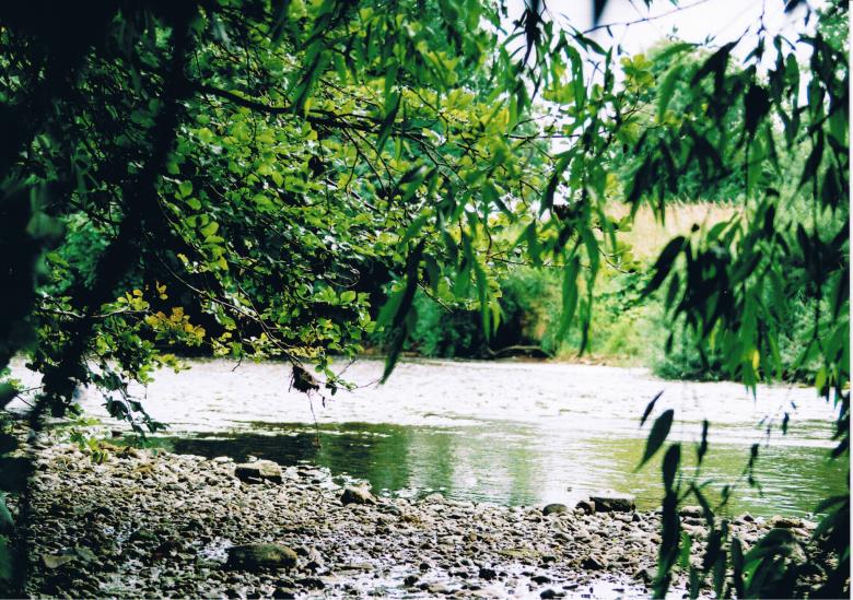 Free stock image of River Bank Tales created by neil heslop