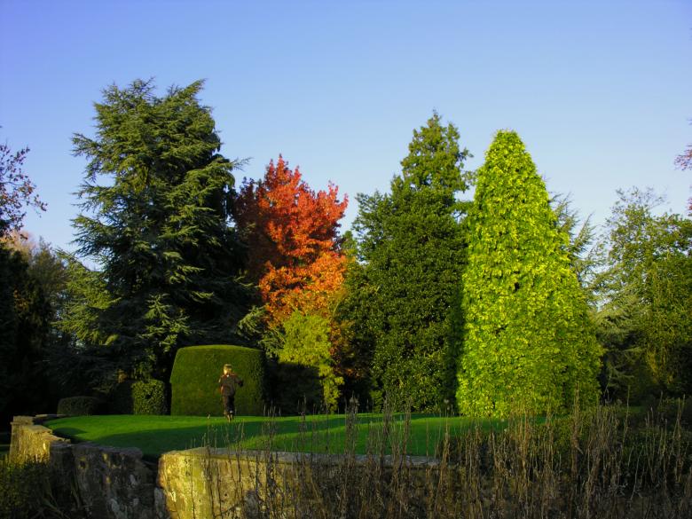 Free stock image of English autumn garden created by colin mulvey