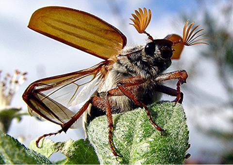 Ready for take-off - Free Stock Photo