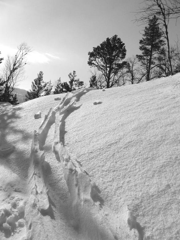Free stock image of After the blizzard created by asle haukland