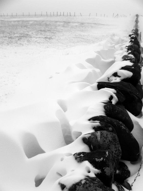 Free stock image of After the blizzard II created by asle haukland