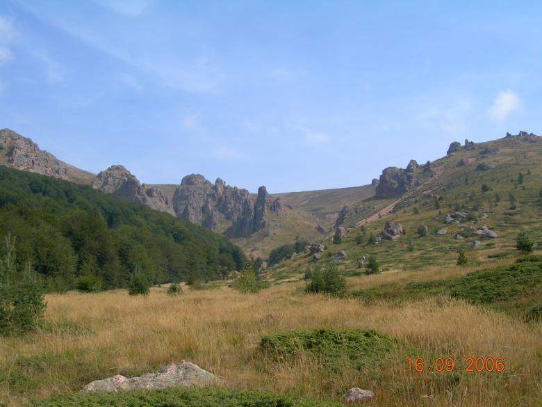 Free stock image of Tsvetelina Kostova-Simova created by tsvetelina kostova-simova