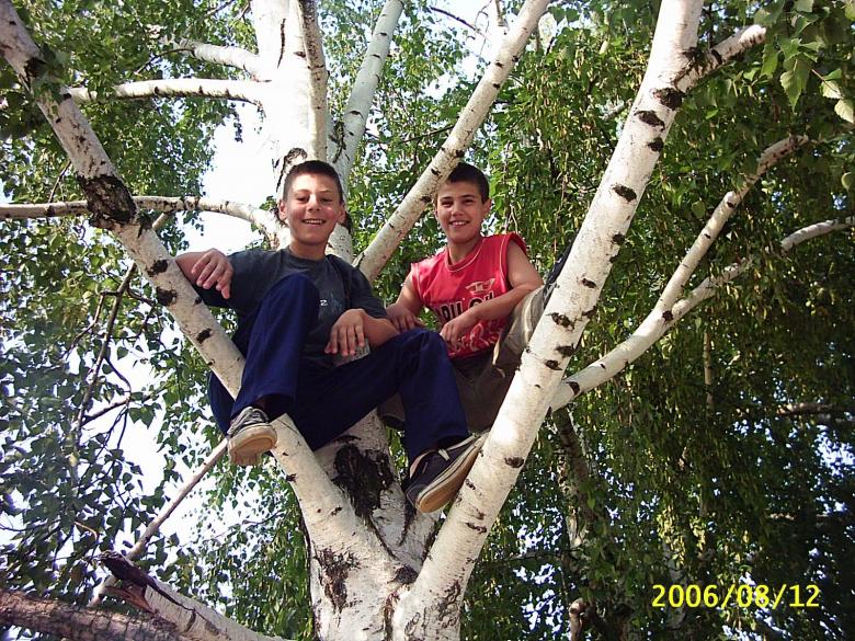 Free stock image of Smiles from the tree created by nadya mochkova