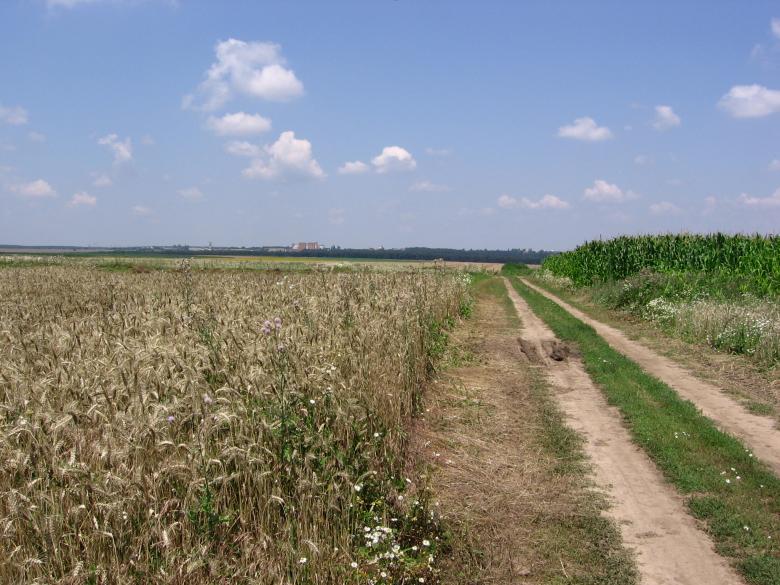 Free stock image of A dirt road created by salih yumer