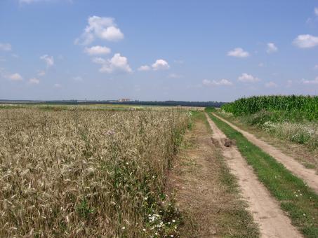 A dirt road - Free Stock Photo