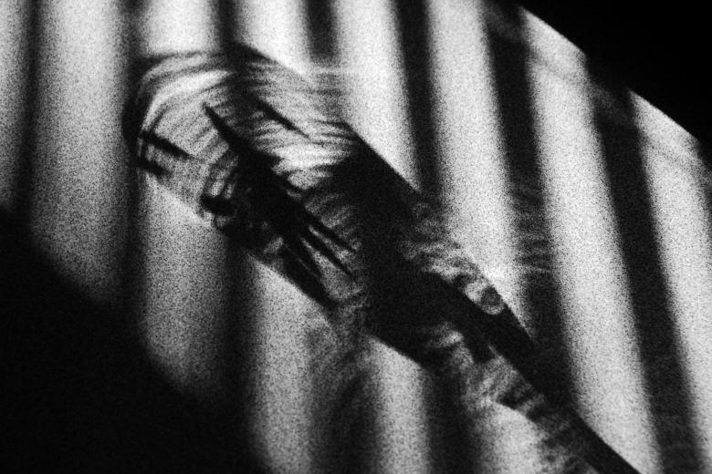 Free stock image of Study on Shadows in Black &amp; White on created by j. l. johnson