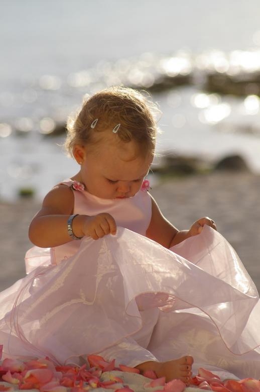 Free stock image of Flower Girl created by kelly kreger