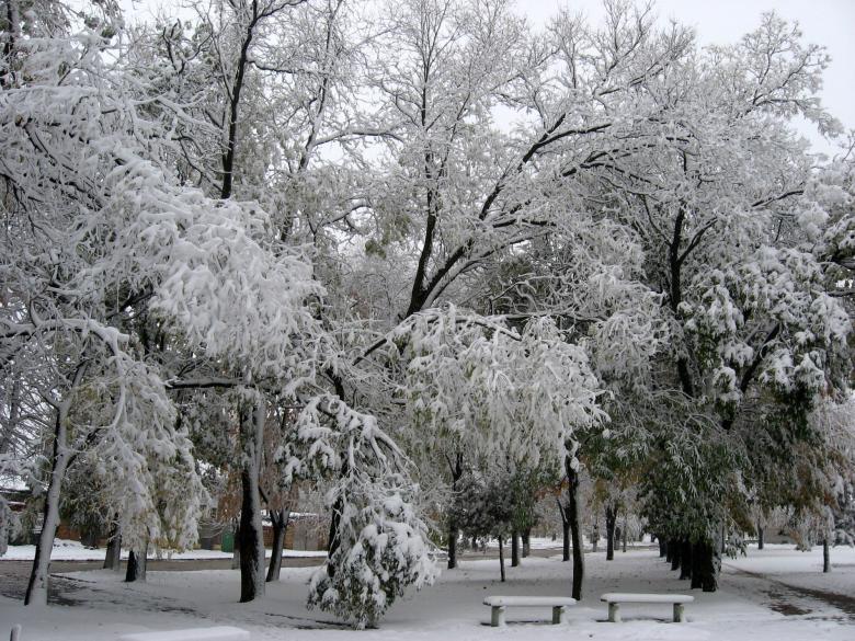 Free stock image of Winter at the park created by dragomir bogomilov