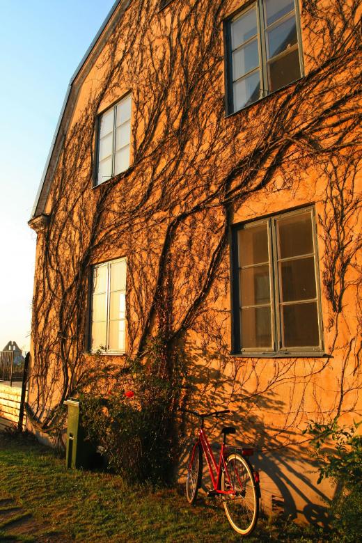 Free stock image of Vine-covered House created by fabio grande