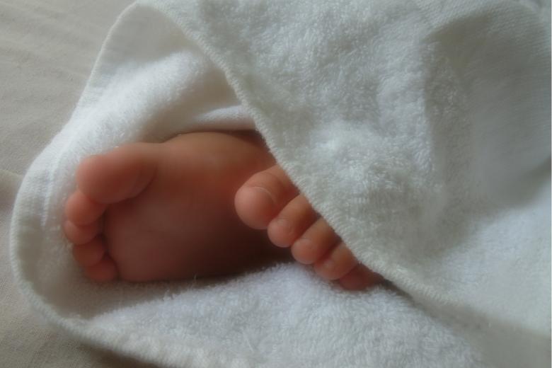 Free stock image of Gentleness created by edwin s. loyola