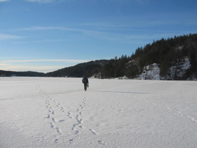 Free stock image of Walking on ice created by Bent Arvesen