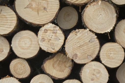 Pile of wood poles - Free Stock Photo