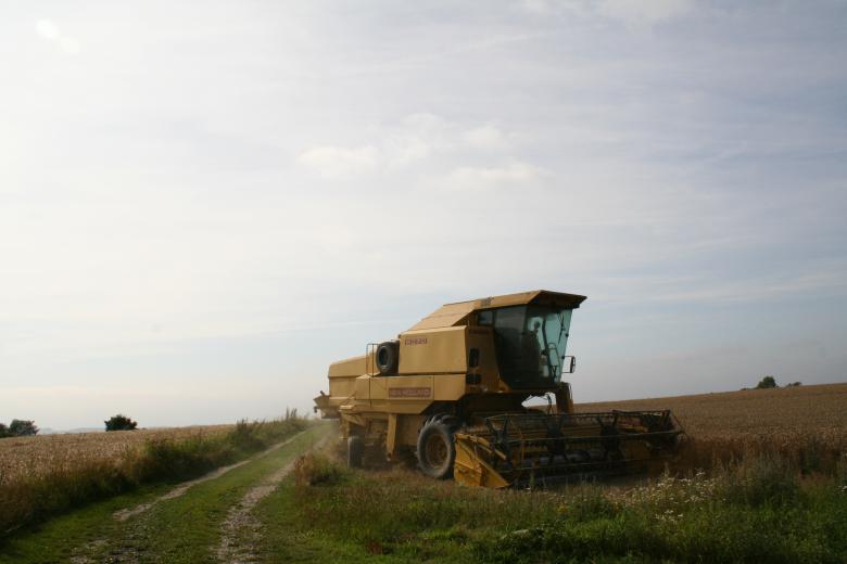 Free stock image of Harvesting created by christian taylor hauschild
