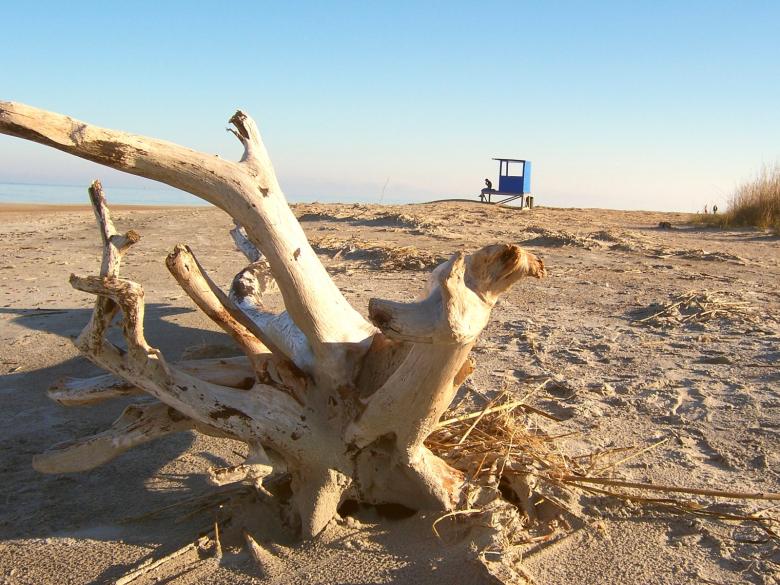 Free stock image of On the beach created by julia koehler