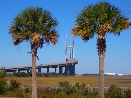 The bridge - Free Stock Photo
