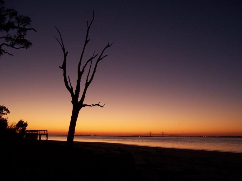 Free stock image of Sunset created by julia koehler