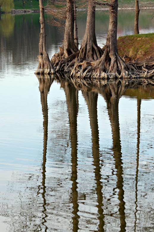 Free stock image of Reflection created by yavor michev