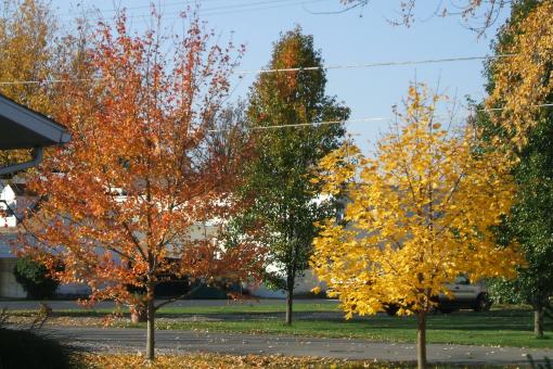Autum in Ohio - Free Stock Photo