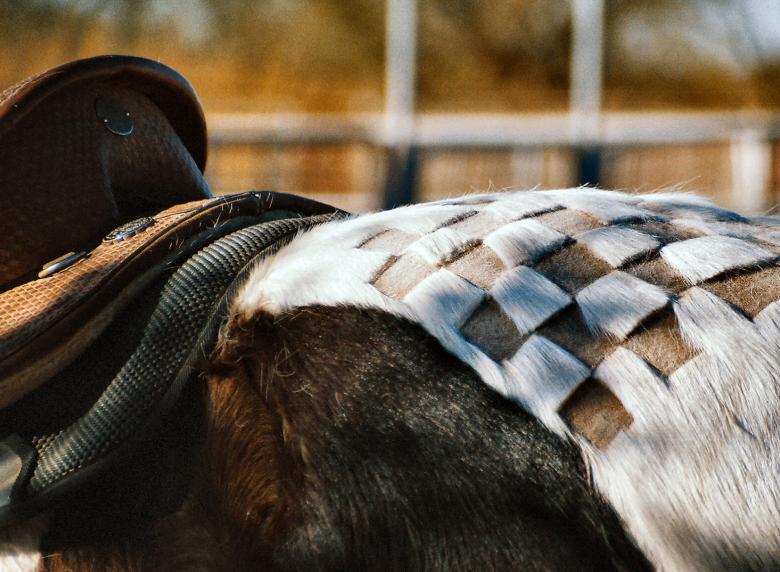 Free stock image of Redneck Travel Games created by jennifer driggers