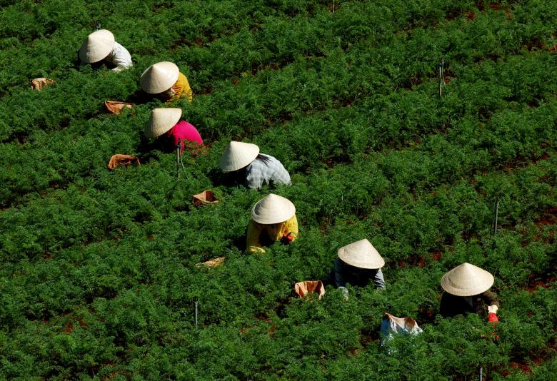 Free stock image of Composition created by le thai son