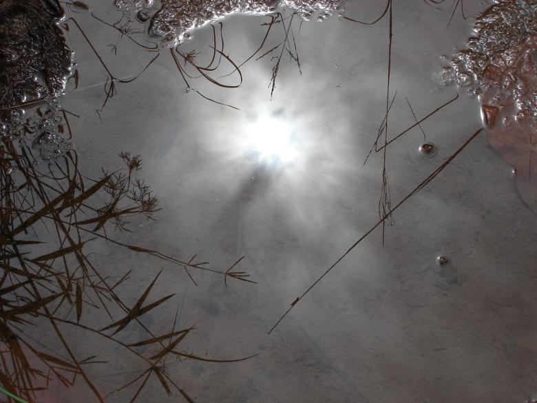 Free stock image of Reflection created by saibal datta
