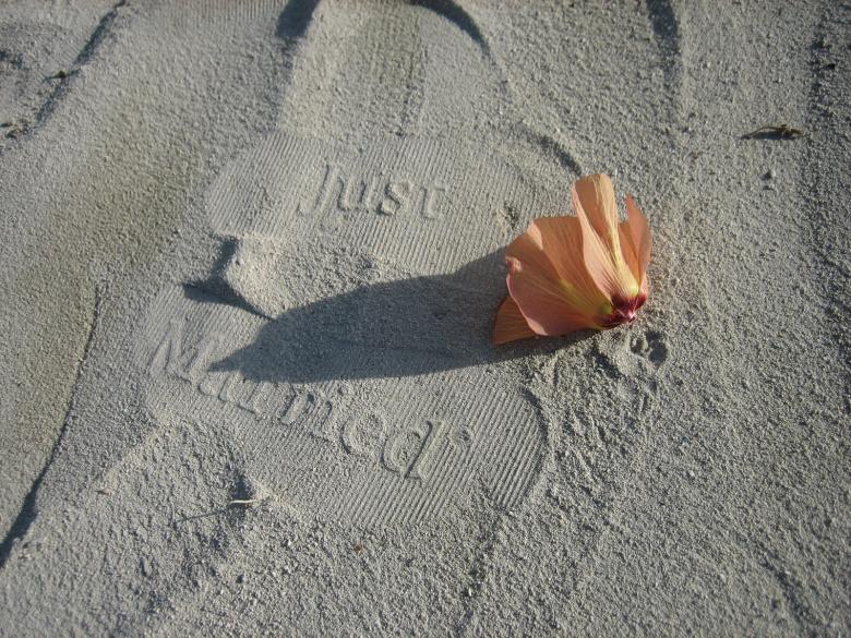 Free stock image of Just Married created by awakash bodiwala