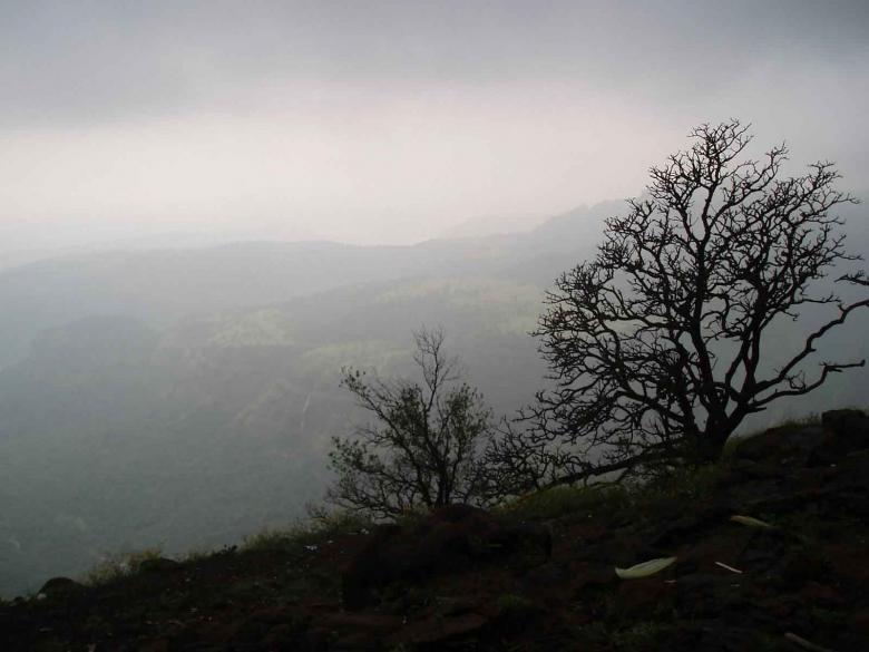 Free stock image of The Mist created by luv.rawal