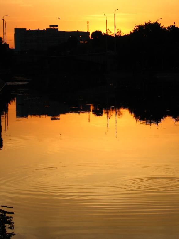 Free stock image of City river created by harald-cezar mosoarca