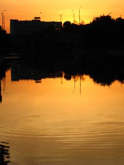 City river - Free Stock Photo