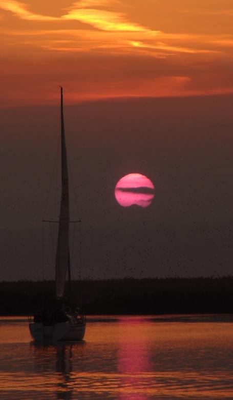 Free stock image of Towards the sun created by harald-cezar mosoarca