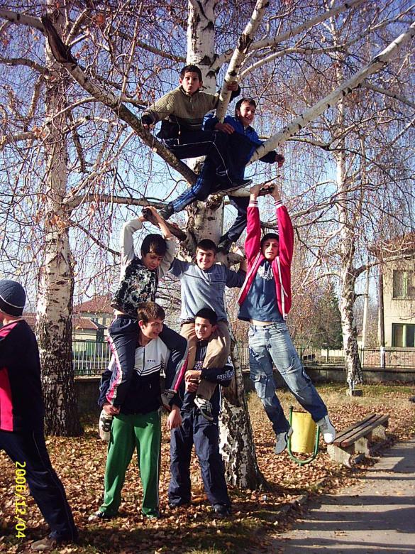 Free stock image of Favourite tree of boys created by nadya mochkova