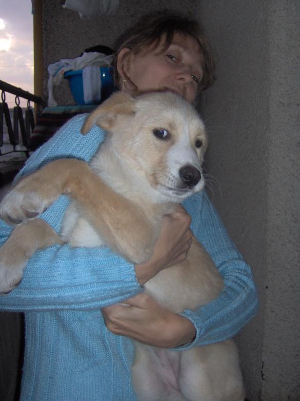 Free stock image of Mother and her dog created by radina grancharova