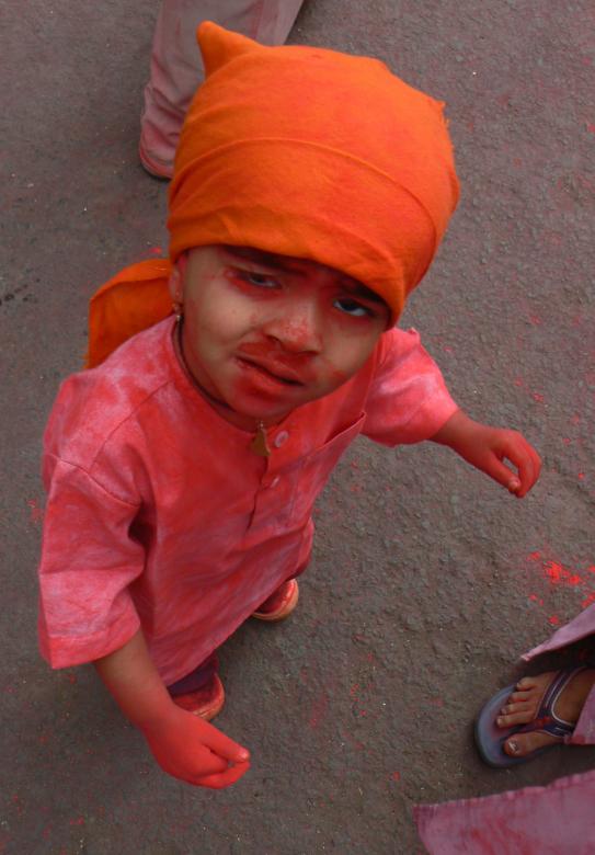 Free stock image of You can borrow colors from life created by saurabh malhotra