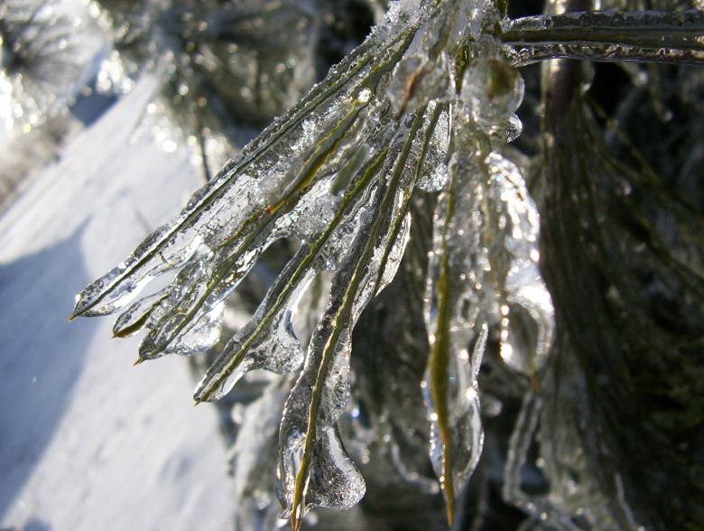 Free stock image of Icicle blue created by anthony essmaker