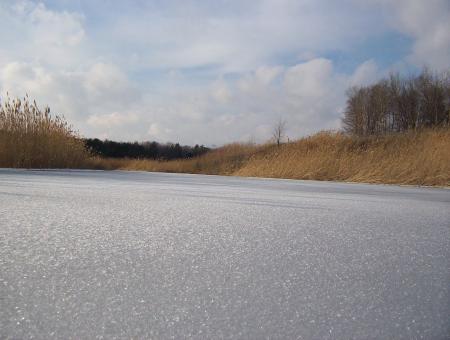 On the ice - Free Stock Photo