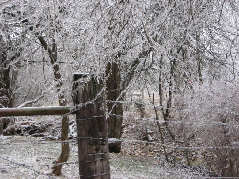 Free stock image of Winter landscape created by kaelin collard