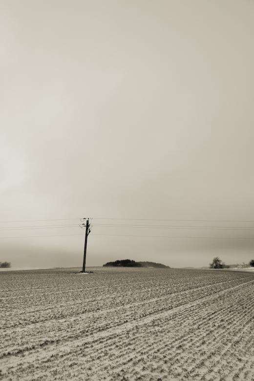 Free stock image of Sepia Winter created by christian taylor hauschild